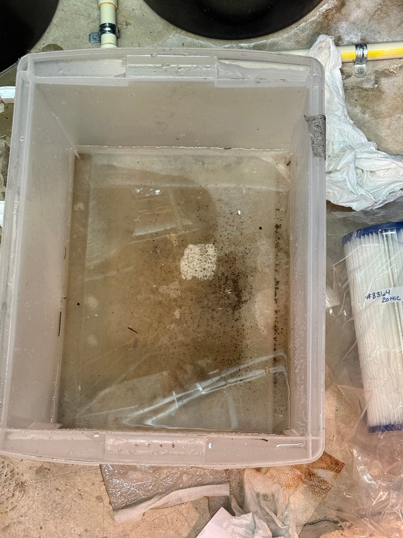 Dirty water drained during filter change