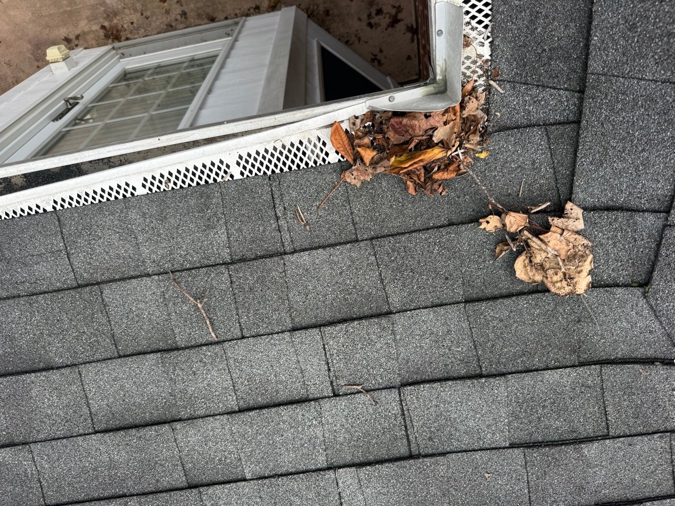 Leaves clogging gutter before cleaning