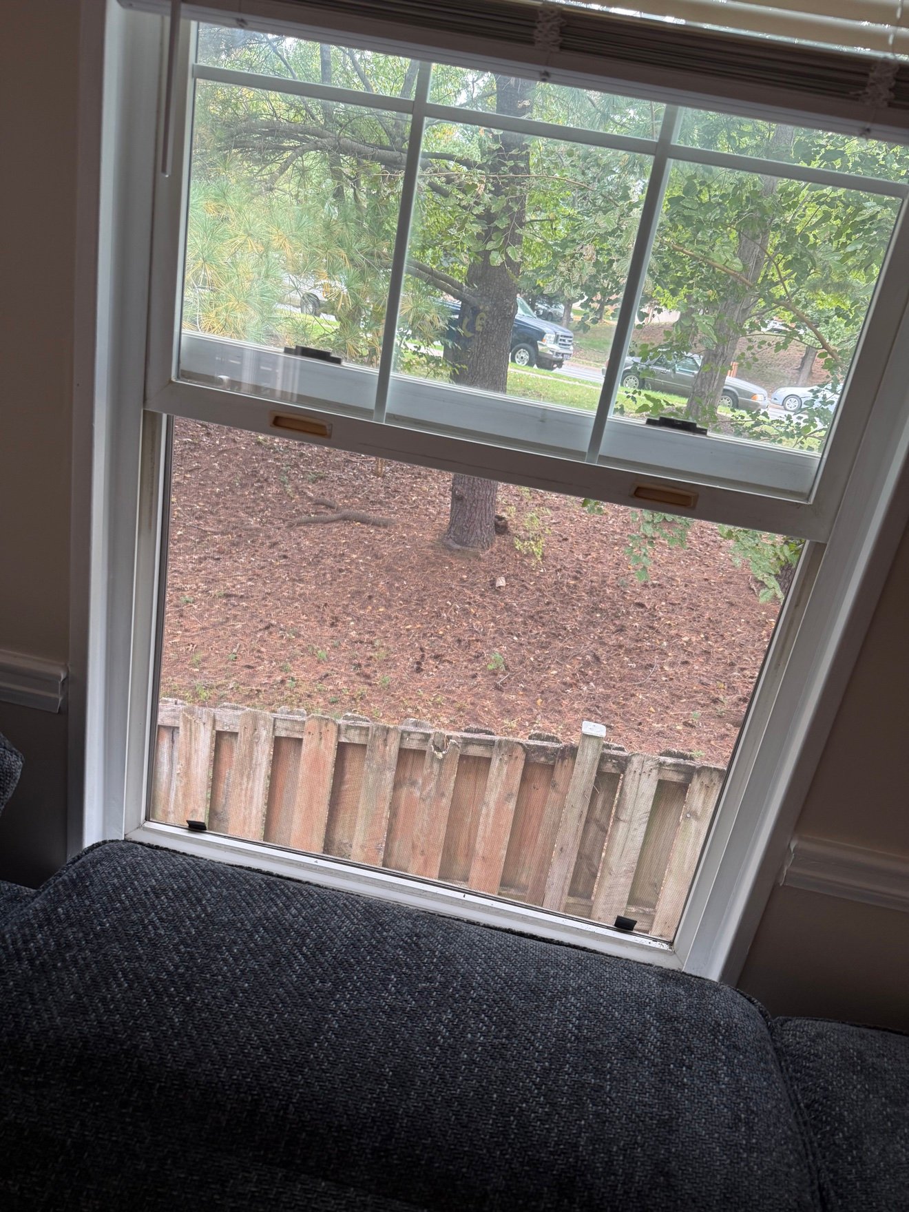 New window screen installed