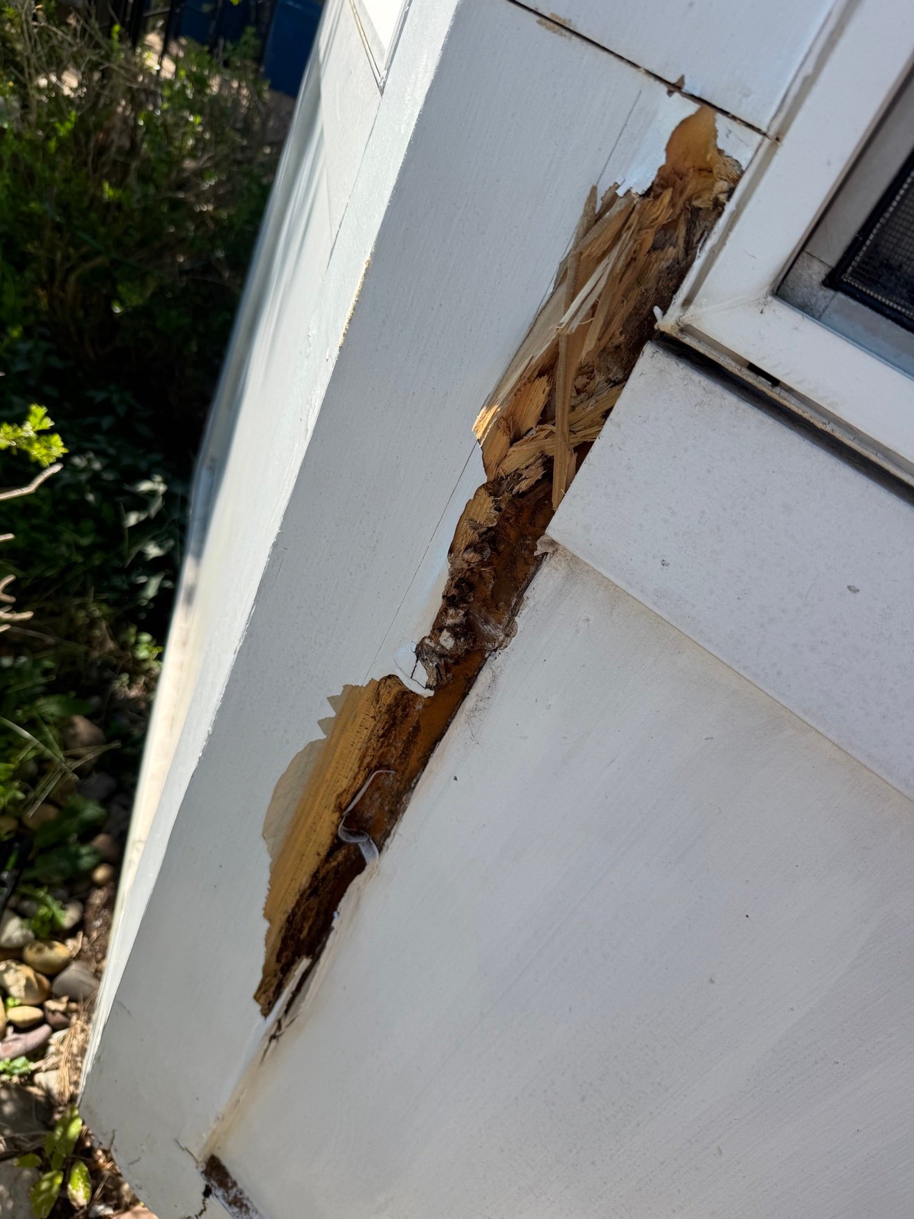 Rotted wood trim close-up